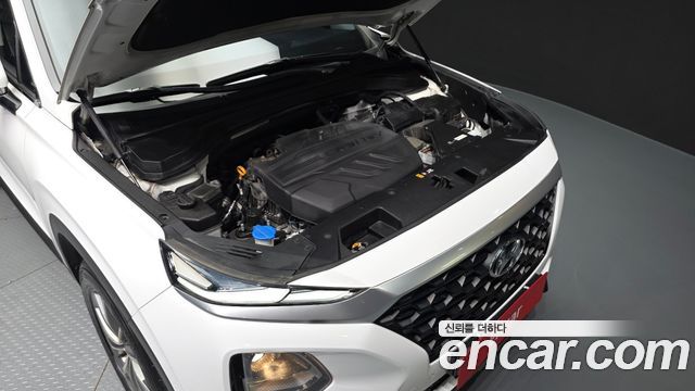 Hyundai Santa Fe (TM) Diesel 2,0 4WD Exclusive 2019 — фото 6