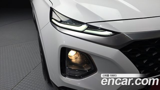 Hyundai Santa Fe (TM) Diesel 2,0 4WD Exclusive 2019 — фото 22