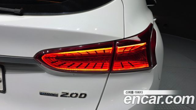Hyundai Santa Fe (TM) Diesel 2,0 4WD Exclusive 2019 — фото 23
