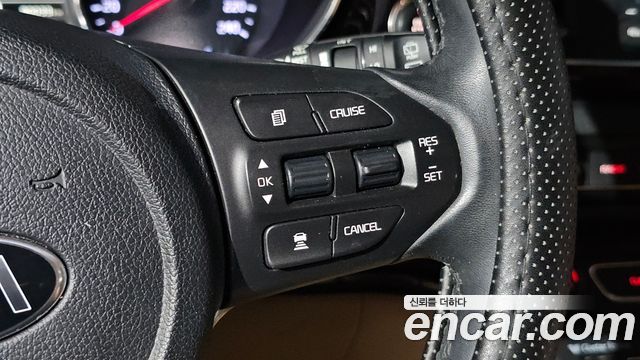 Kia Carnival 9-Seater Hi-Limousine Noblesse Special 2019 — фото 28
