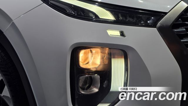 Hyundai Palisade Diesel 2.2 2WD Exclusive 2019 — фото 22