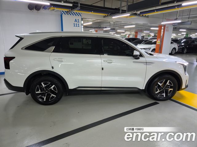 Kia Sorento (IV) HEV 1.6 4WD Noblesse 2024 — фото 4