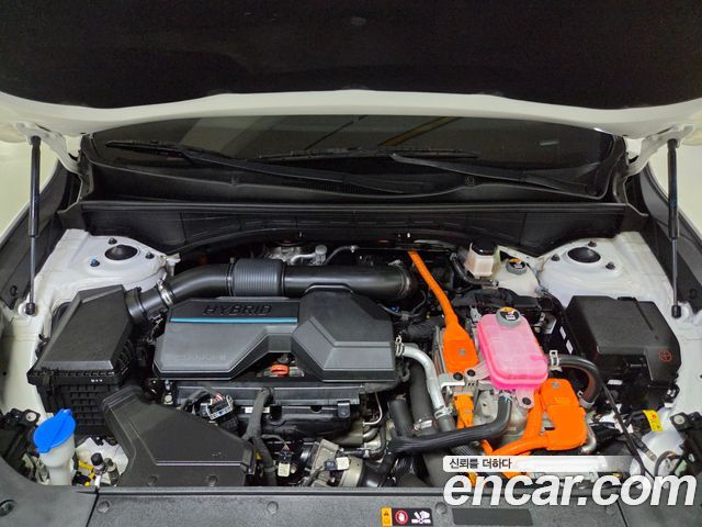 Kia Sorento (IV) HEV 1.6 4WD Noblesse 2024 — фото 18