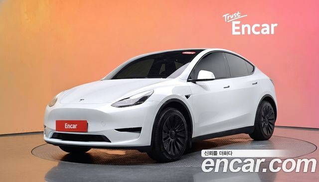 Tesla Model Y RWD
