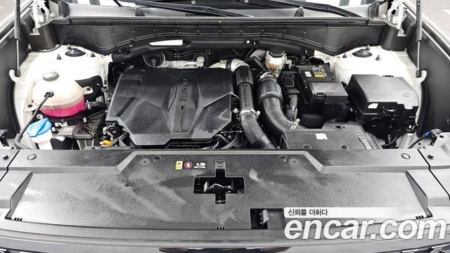 Hyundai Santa Fe (MX5) Gasoline 2.5T 2WD Calligraphy 2024 — фото 6