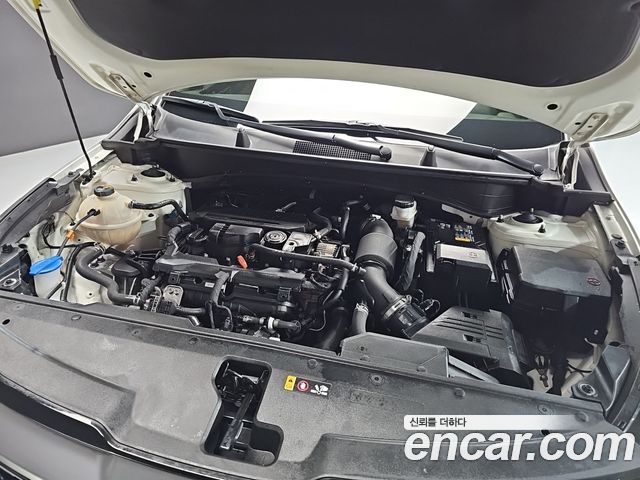 Kia Sportage (V) Gasoline 1.6 Turbo 2WD Nobleless 2022 — фото 6