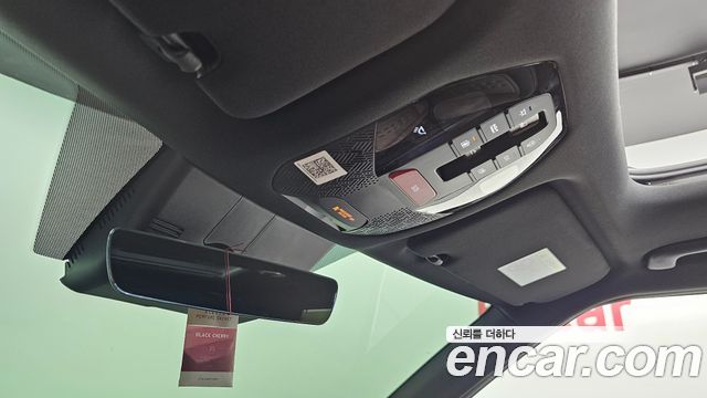 Kia EV9 Long Range 4WD Earth 2024 — фото 19