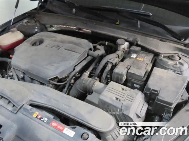 Kia K5 (III) 2.0 LPI(Renter car) Trandy 2020 — фото 6
