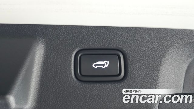 Hyundai Palisade Diesel 2.2 4WD Le Blanc 2024 — фото 21