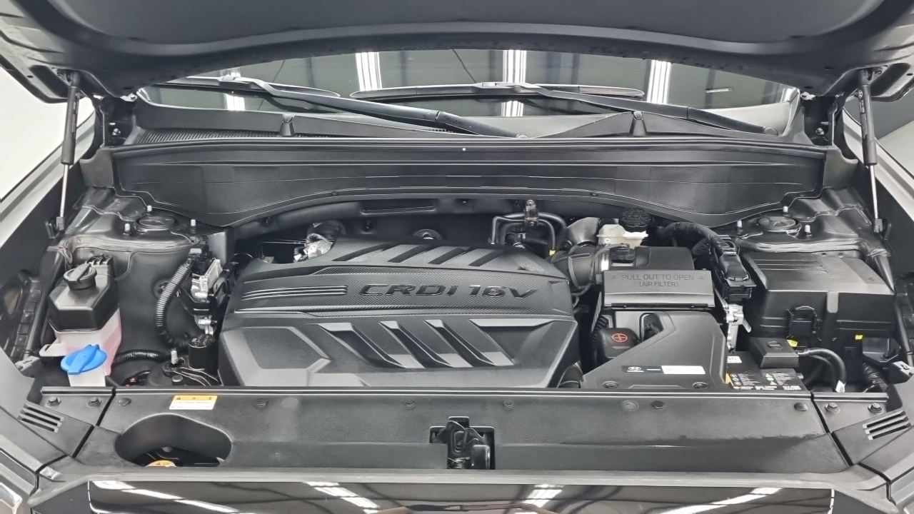 Hyundai Palisade Diesel 2.2 2WD Exclusive 2023 — фото 6