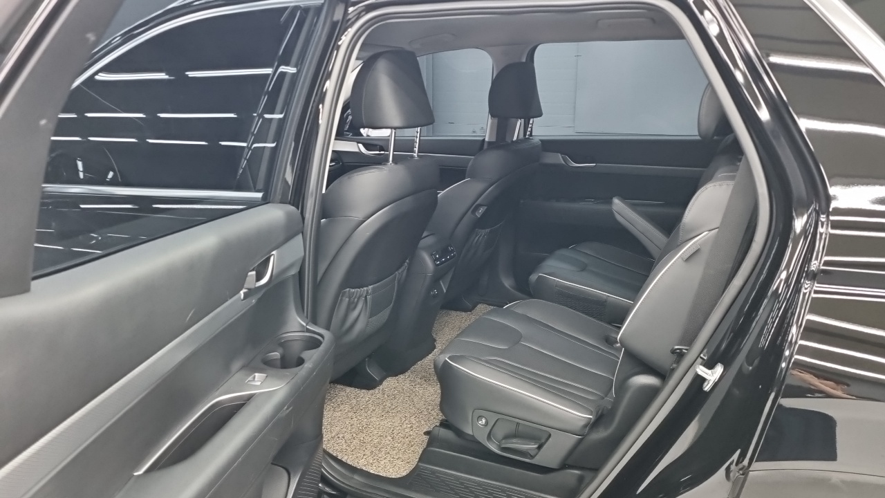Hyundai Palisade Diesel 2.2 2WD Exclusive 2023 — фото 15