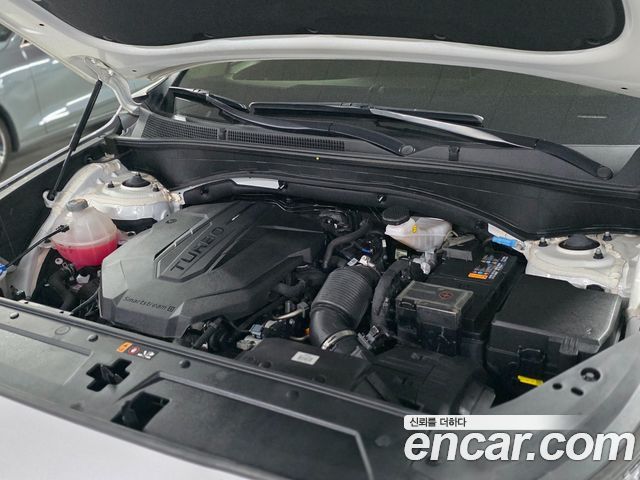 Hyundai Santa Fe Diesel 2.2 2WD Premium 2021 — фото 19