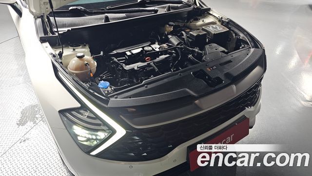Kia Sportage (V) Gasoline 1.6 Turbo 2WD Nobleless 2022 — фото 6