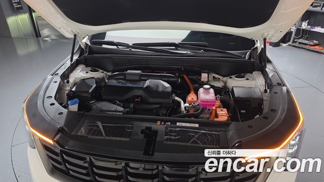 Kia Sorento (IV) HEV 1.6 2WD Gravity 2024 — фото 6