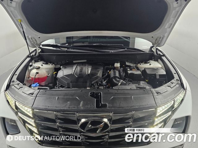 Hyundai Tucson (NX4) Diesel 2.0 2WD Inspiration 2023 — фото 6