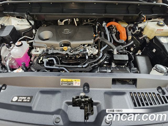 Toyota Highlander (IV) 2.5 4WD Platimum 2025 — фото 6