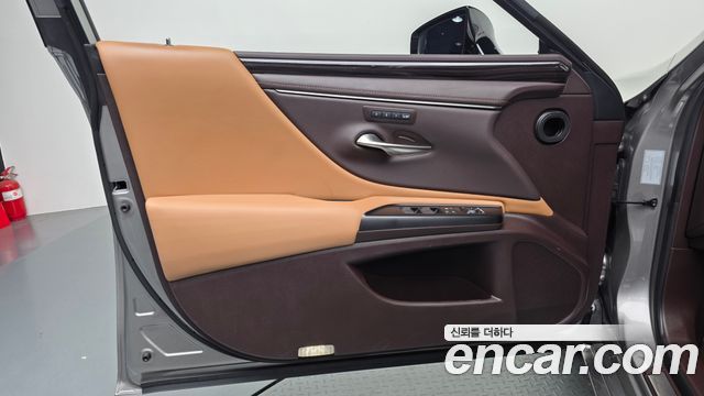 Lexus ES300h (VII) Luxury Plus 2019 — фото 24