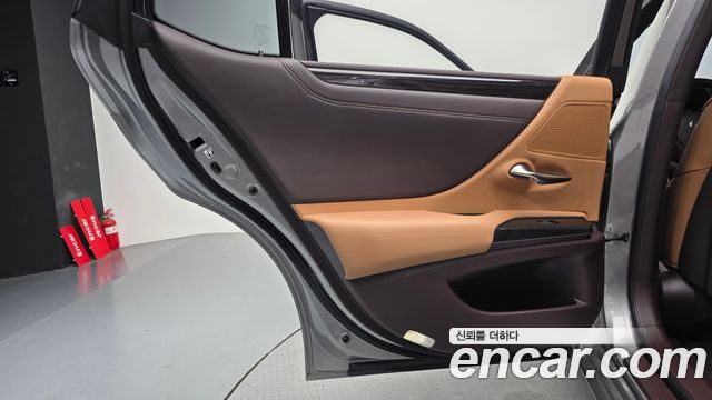 Lexus ES300h (VII) Luxury Plus 2019 — фото 25