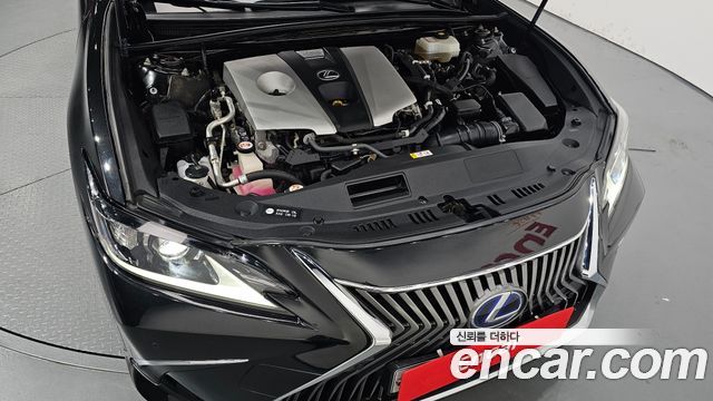 Lexus ES300h (VII) Luxury Plus 2019 — фото 6