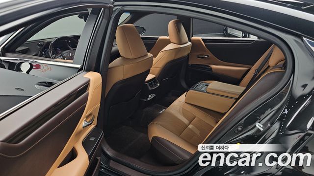 Lexus ES300h (VII) Luxury Plus 2019 — фото 12