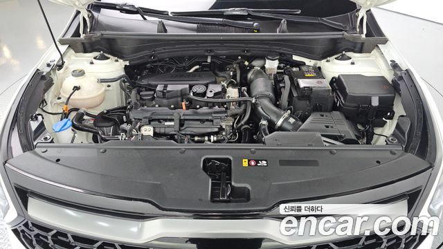 Kia Sportage (V) Gasoline 1.6 Turbo 2WD Signature Gravity 2023 — фото 6