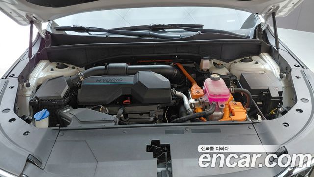 Kia Sorento (IV) HEV 1.6 2WD Noblesse 2024 — фото 6