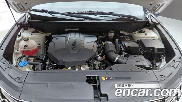 Hyundai Tucson (NX4) Diesel 2.0 4WD Modern 2023 — фото 6