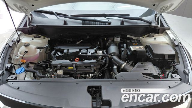 Kia Sportage (V) Gasoline 1.6 Turbo 2WD Signature 2025 — фото 6