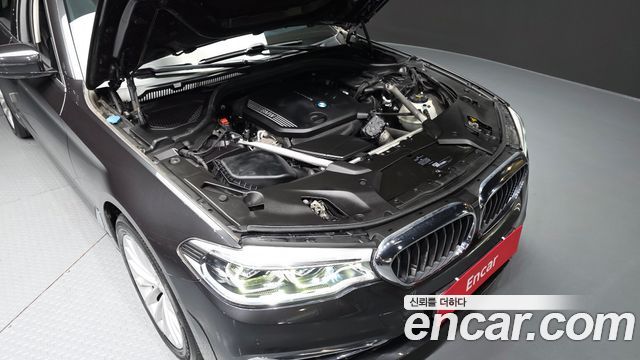 BMW 5 Series (G30) 520d xDrive Luxury Plus 2019 — фото 6
