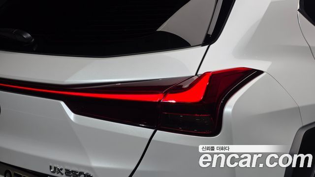Lexus UX250h 2.0 2WD 2021 — фото 23