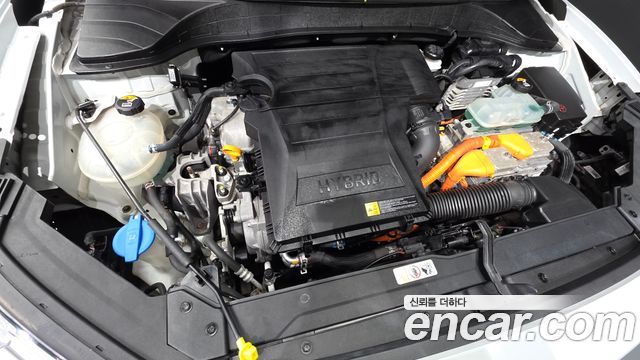Hyundai Kona Hybrid Premium Special 2020 — фото 6