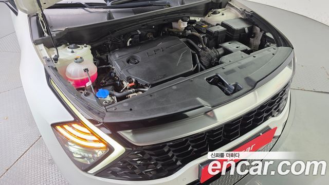Kia Sportage (V) LPG 2.0 2WD Signature 2023 — фото 6