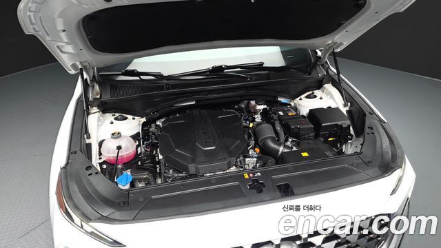 Hyundai Santa Fe Diesel 2.2 2WD Exclusive 2023 — фото 6