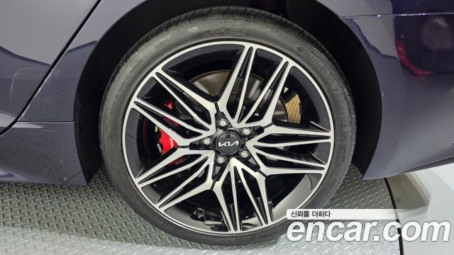 Kia Stinger Meister 2.5 AWD Masters 2023 — фото 21