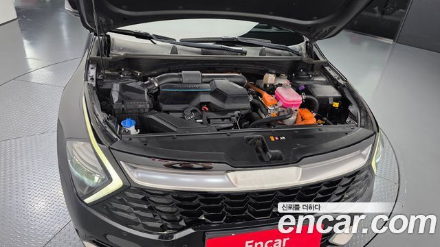 Kia Sportage Hybrid (V) Nobleless 2WD 2022 — фото 6