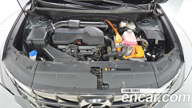 Hyundai Tucson Hybrid (NX4) Inspiration 2WD 2021 — фото 6