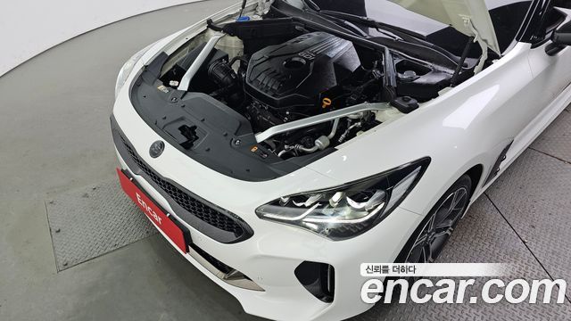 Kia Stinger 2.0 Turbo 2WD Platinum 2019 — фото 6
