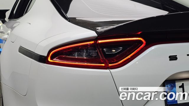 Kia Stinger 2.0 Turbo 2WD Platinum 2019 — фото 23