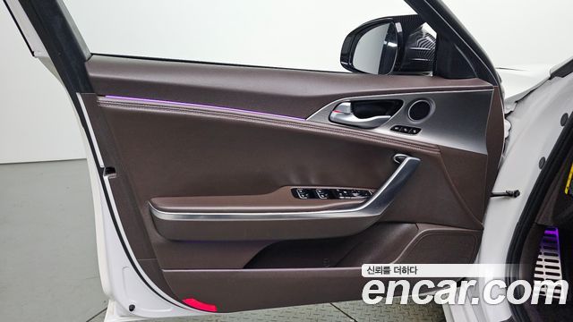 Kia Stinger 2.0 Turbo 2WD Platinum 2019 — фото 24