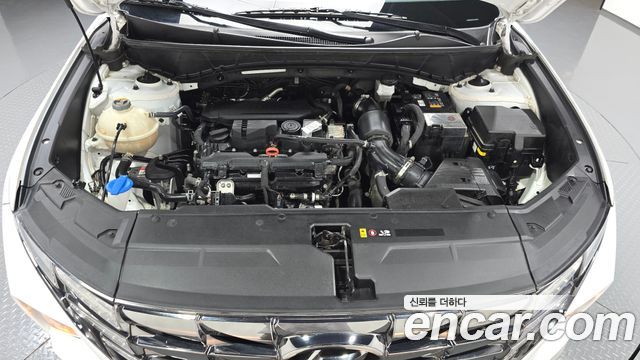 Hyundai Tucson (NX4) Gasoline 1.6 Turbo 2WD Modern 2023 — фото 6