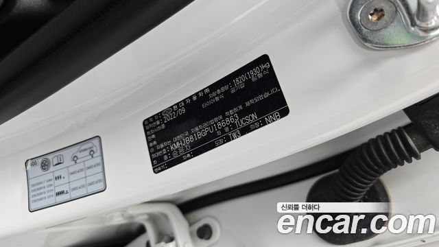 Hyundai Tucson (NX4) Gasoline 1.6 Turbo 2WD Modern 2023 — фото 36