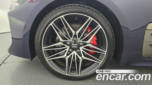 Kia Stinger Meister 2.5 AWD Masters 2021 — фото 5