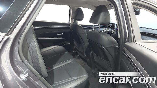 Hyundai Tucson (NX4) Diesel 2.0 2WD Modern 2023 — фото 12