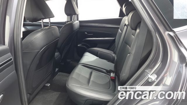 Hyundai Tucson (NX4) Diesel 2.0 2WD Modern 2023 — фото 26
