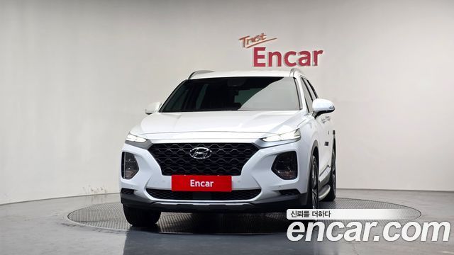 Hyundai Santa Fe (TM) Diesel 2.0 2WD Exclusive 2019 — фото 3