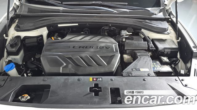 Hyundai Santa Fe (TM) Diesel 2.0 2WD Exclusive 2019 — фото 6