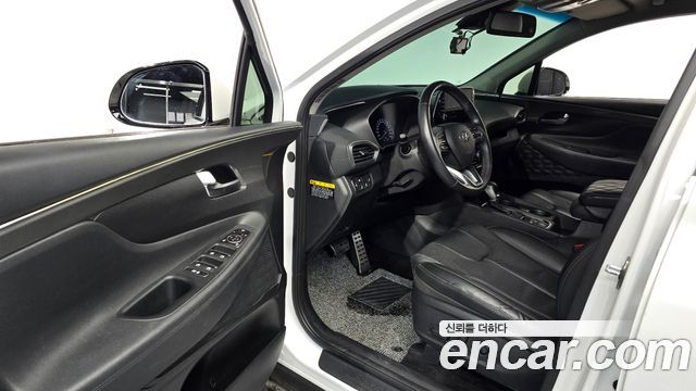 Hyundai Santa Fe (TM) Diesel 2.0 2WD Exclusive 2019 — фото 10