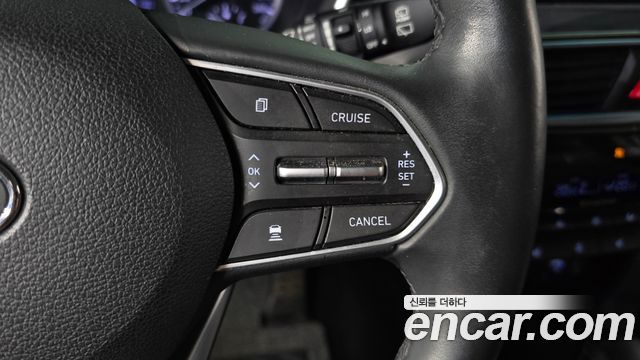 Hyundai Santa Fe (TM) Diesel 2.0 2WD Exclusive 2019 — фото 16