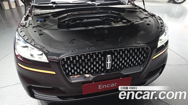 Lincoln Aviator (II) 3.0 Black Label AWD 2020 — фото 6