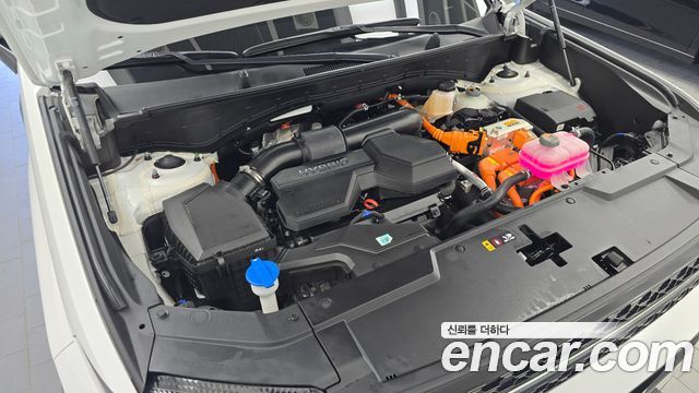 Hyundai Santa Fe (MX5) HEV 1.6 2WD Calligraphy 2025 — фото 6